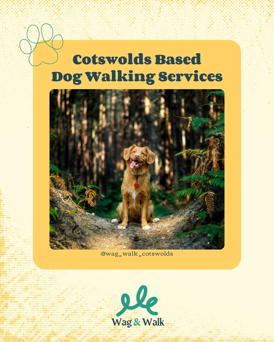 Social media graphic for dog walking service
